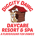 Diggity Dawg Daycare Resort & Spa